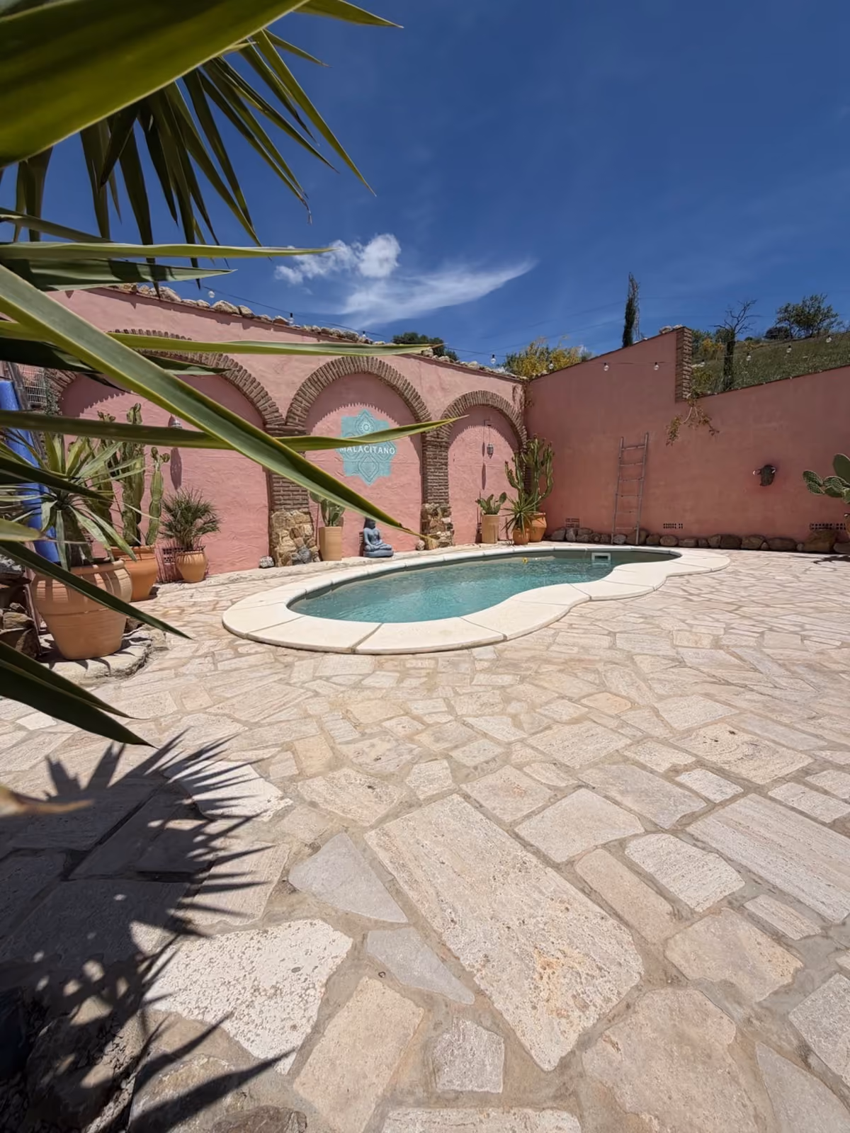 Pool with pink arched wall
